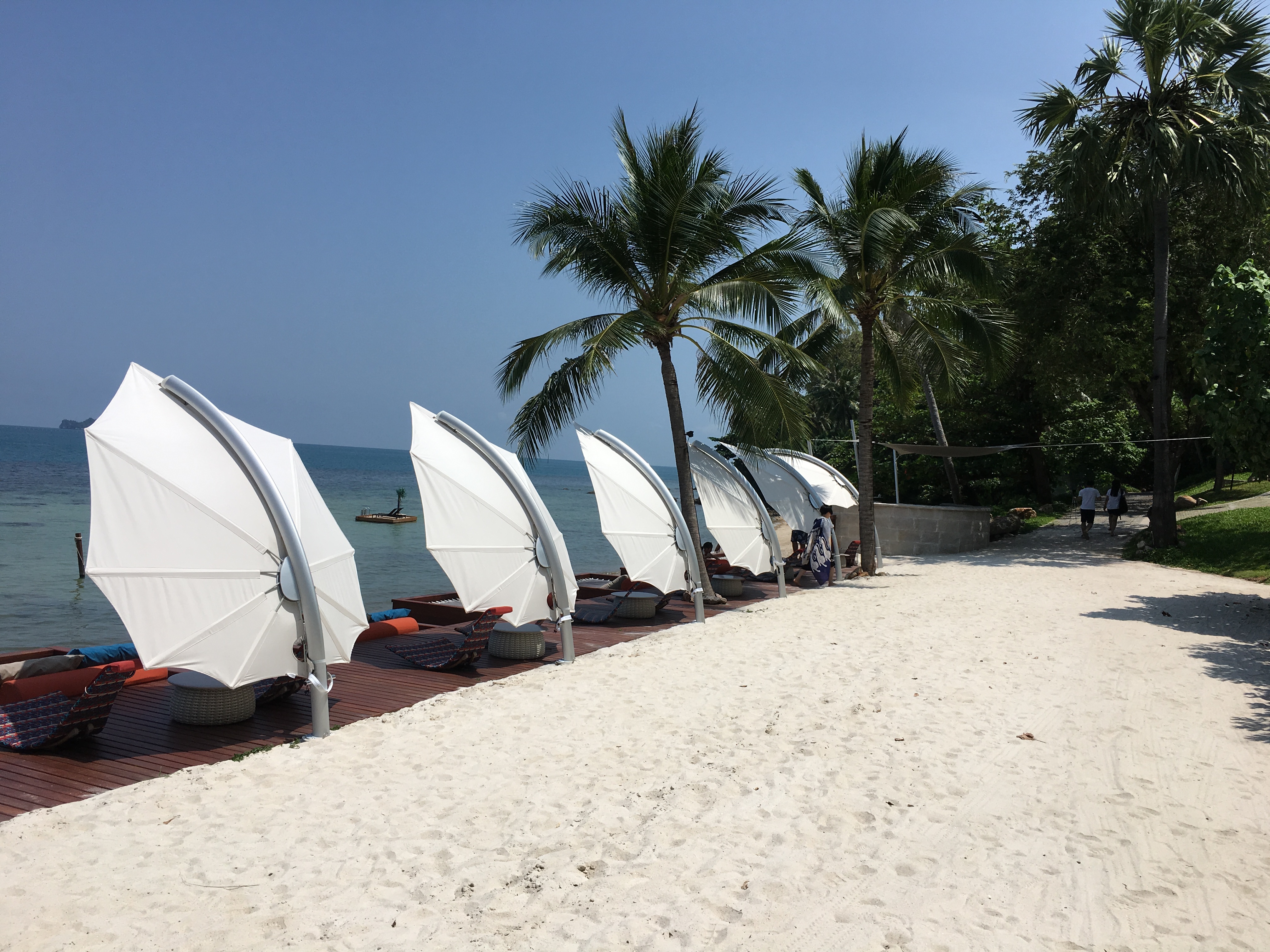 Icarus umbrellas Conrad HR .jpg