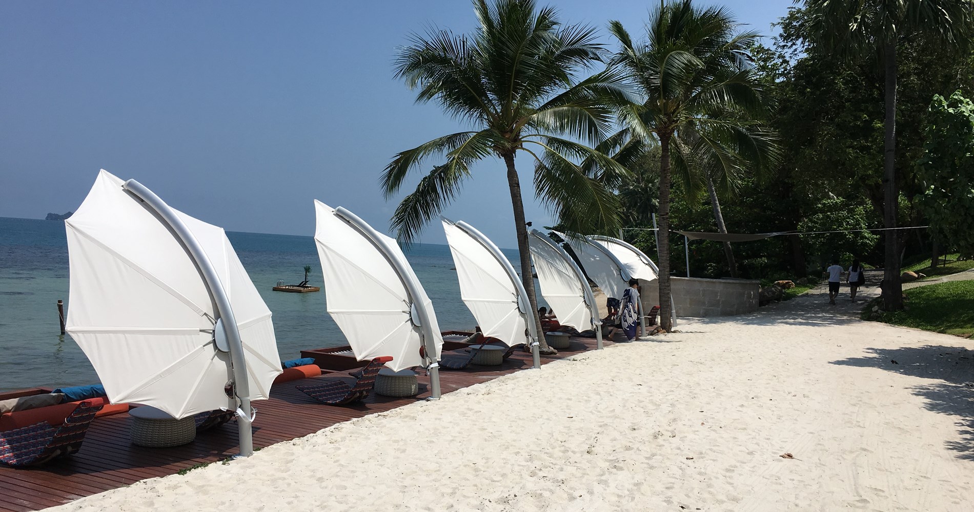 Icarus umbrellas Conrad HR .jpg